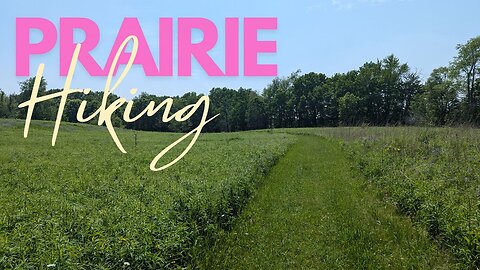 Prairie Flowers BLOOMING at Saul Lake Bog | Hike POV, ASMR
