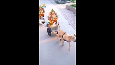 Ganpati bappa 🕉️#follow