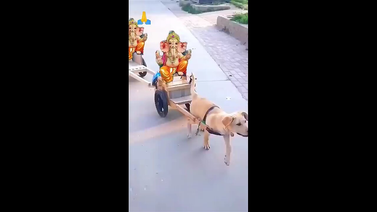 Ganpati bappa 🕉️#follow