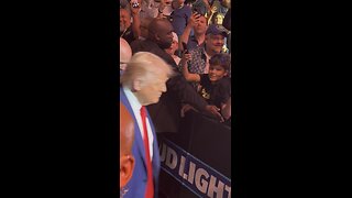 UFC 316 : Donald Trump entrance close up