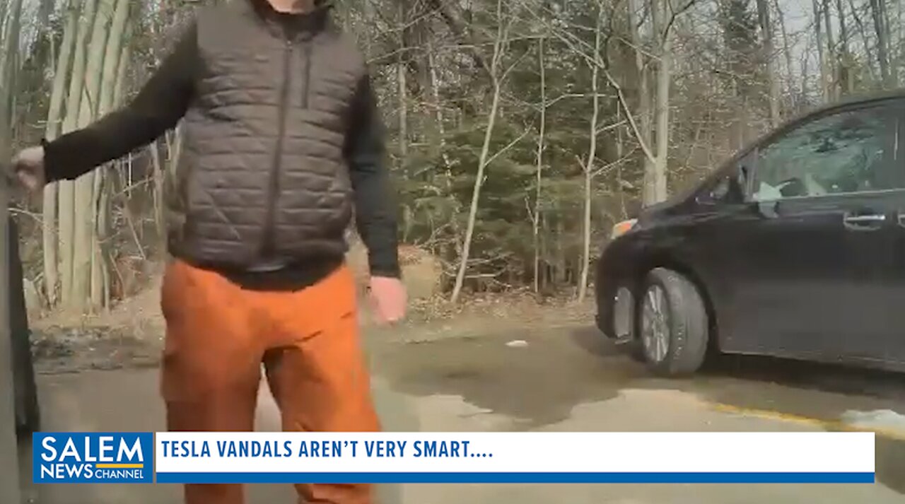 Tesla Vandals Aren’t Very Smart….