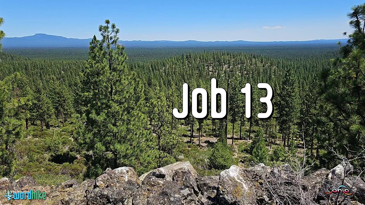 Job 13