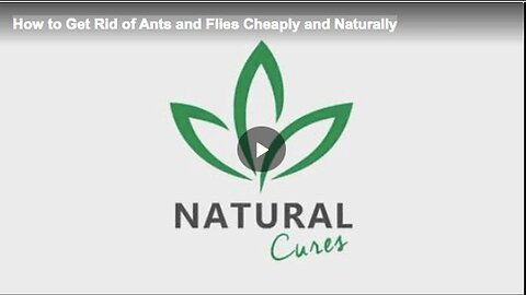 "Natural and Affordable Ways to Eliminate Ants and Flies"