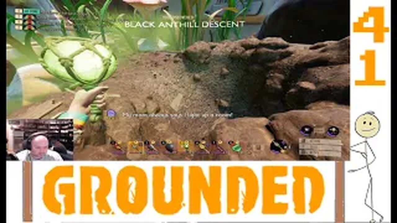 Grounded The Black Ant Hill