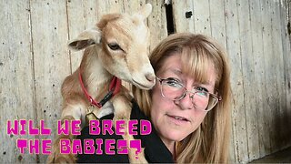 Our BREEDING Plans For THIS Year!