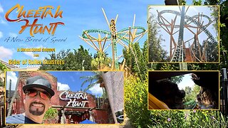 A Sensational Snippet from Rider of Roller Coasters: Cheetah Hunt at Busch Gardens, Tampa