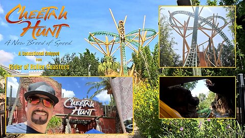 A Sensational Snippet from Rider of Roller Coasters: Cheetah Hunt at Busch Gardens, Tampa