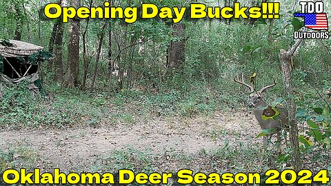 Opening Day 2024 (Oklahoma)!!! Should I have shot one? #hunting #wildlife #deerhunting