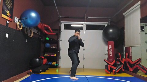 WTD 2 Step Kick Combination 92