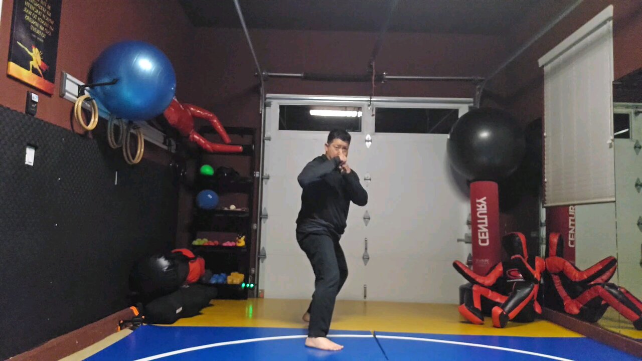 WTD 2 Step Kick Combination 92