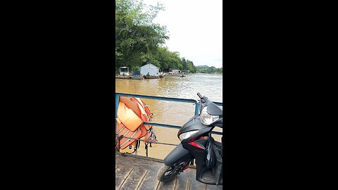 Fishing Vlogs