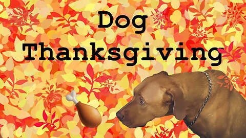 Making My Dog A Thanksgiving Meal