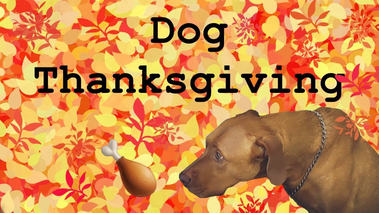Making My Dog A Thanksgiving Meal