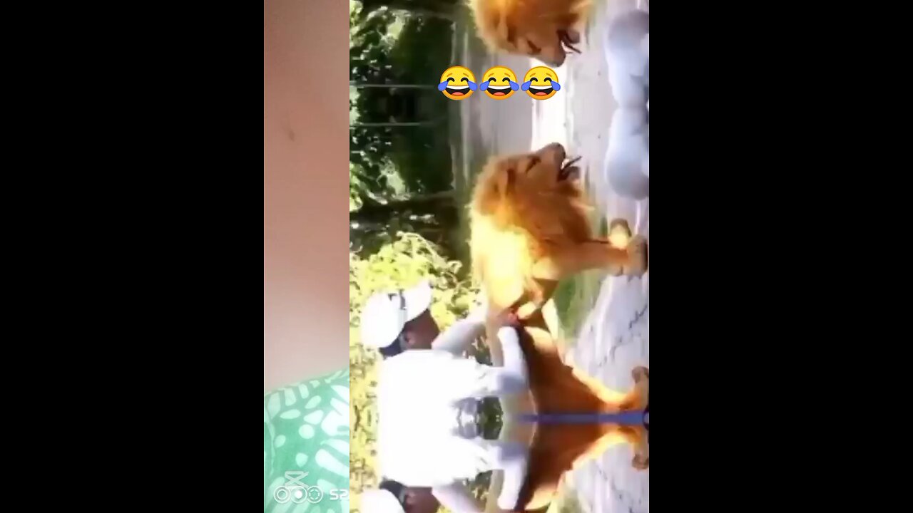 Funny video 😂