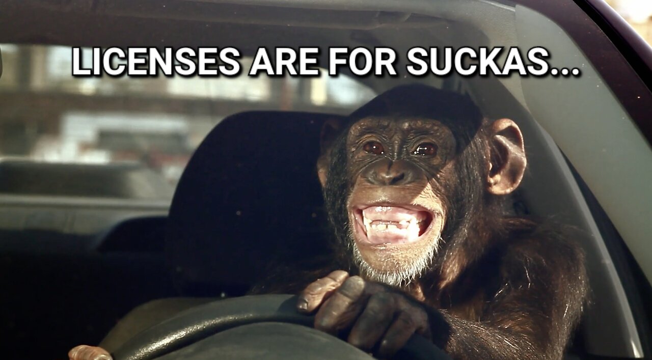 When Pookies ATTACK: Road Trip