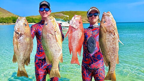 Epic Spearfishing Adventure: Giant Crayfish and Monster Fish From Deep Shipwrecks!