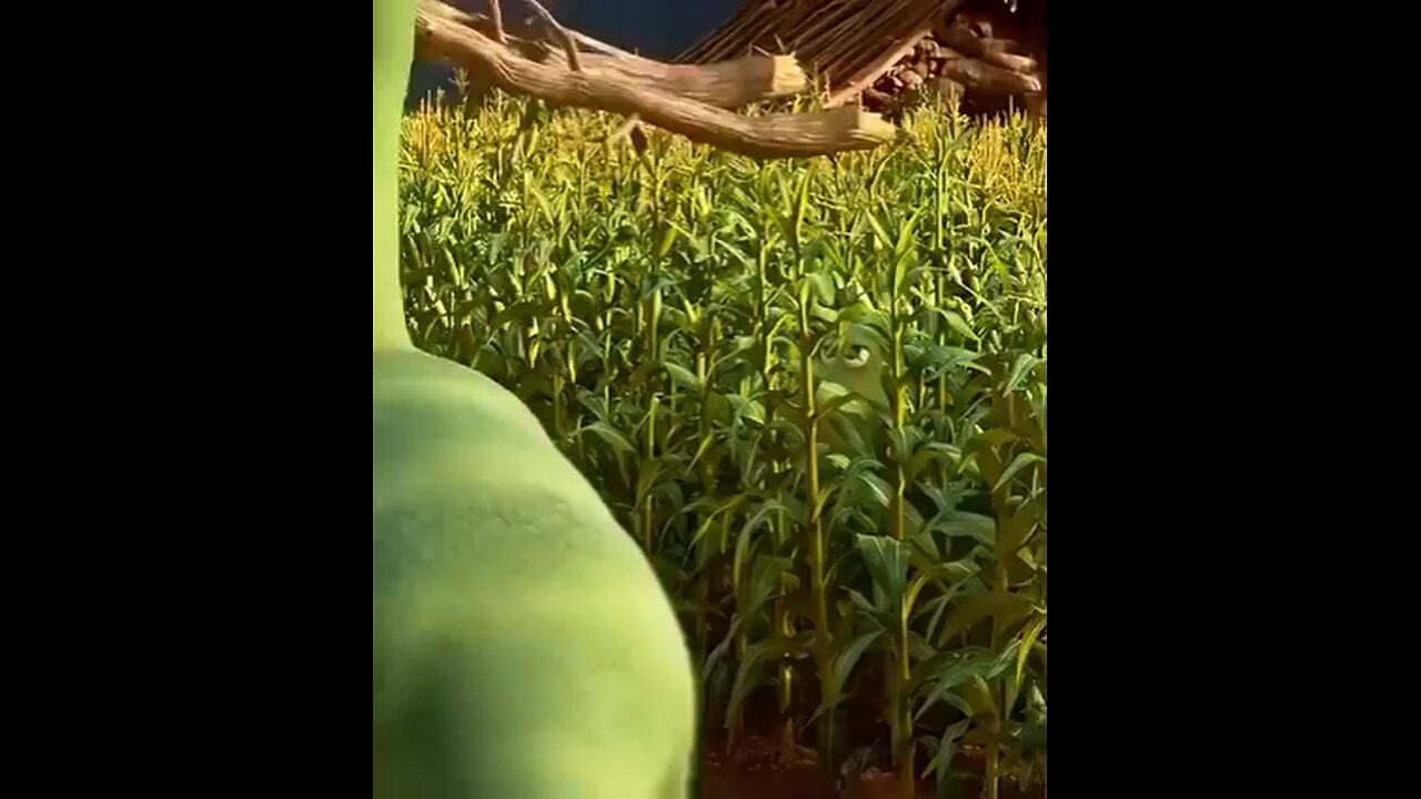 httvideo@$_&##$