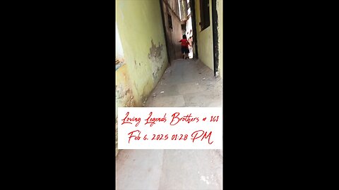 Twin Adventures in the Alley | Loving Legends Brothers #161 | Fun Street Moments!