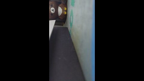 2025-11-23 秀萍姐 一