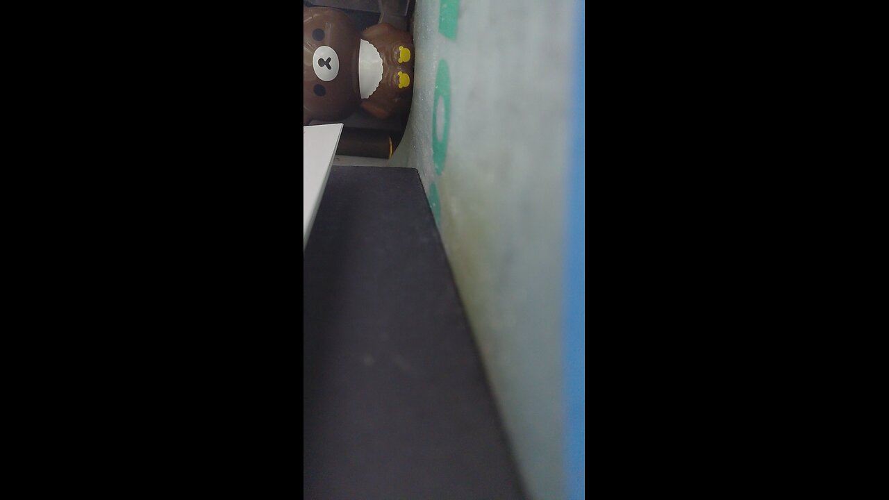 2025-11-23 秀萍姐 一