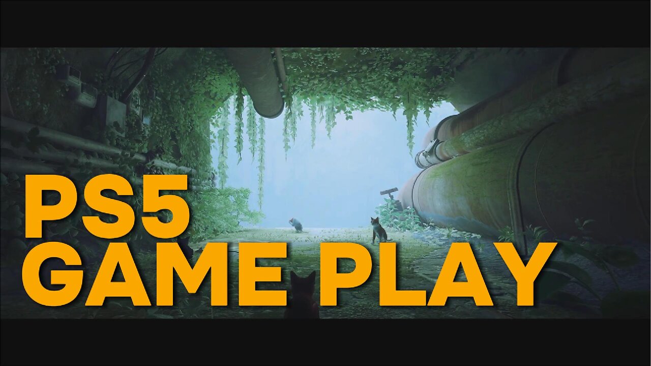 Crisp PS5 Experience – Sharp Graphics, Smooth Controls & Pure Action