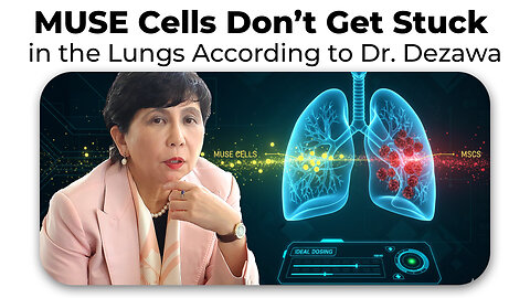 MUSE Cells Don't Get Stuck in the Lungs Like MSCs & Ideal Dosing According to Dr. Dezawa
