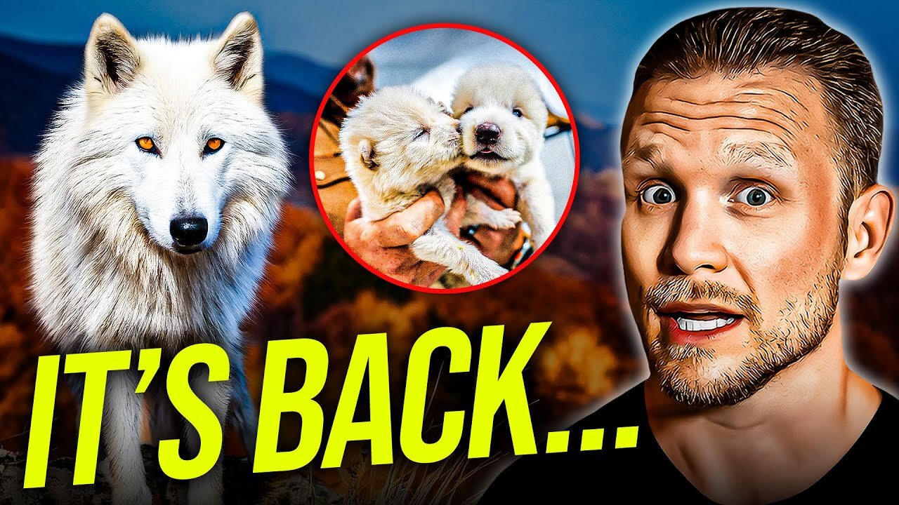 Dire Wolves Are ALIVE Again?! A Christian's Honest Take