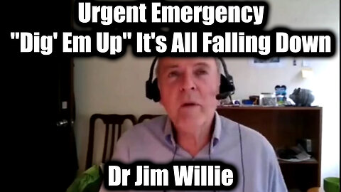 Dr. Jim Willie Urgent Emergency "Dig' Em Up" - It's All Falling Down