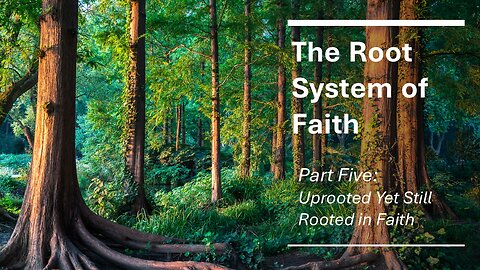 The Root System of Faith: Part 5, Uprooted Yet Still Rooted in Faith