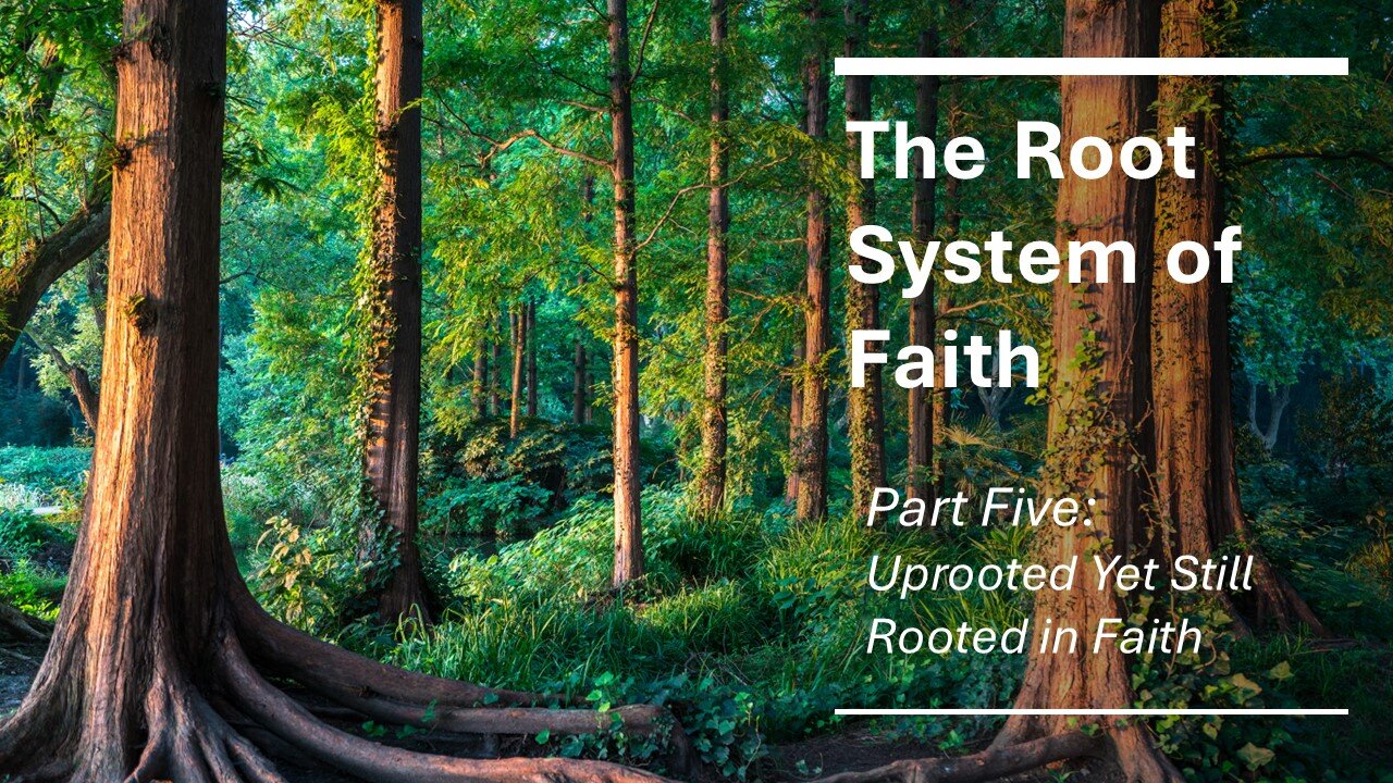 The Root System of Faith: Part 5, Uprooted Yet Still Rooted in Faith