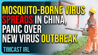 Mosquito-Borne Virus Spreads In China, Panic Over New Virus Outbreak