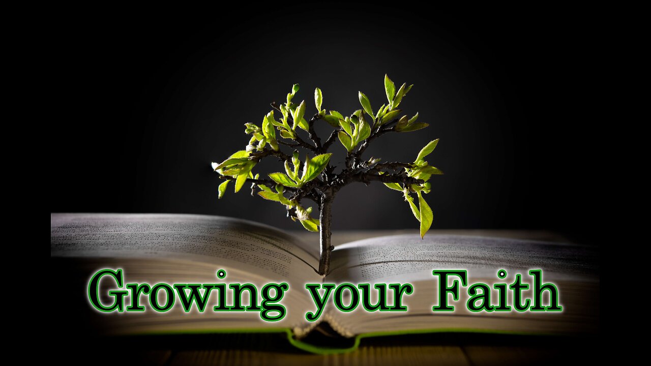 24/7 Growing Your Faith: Non-Stop Worship, Bible Teaching & Prayer | FaithNFreedom.TV