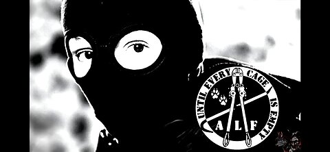 The ALF Is Committed 2 Making History