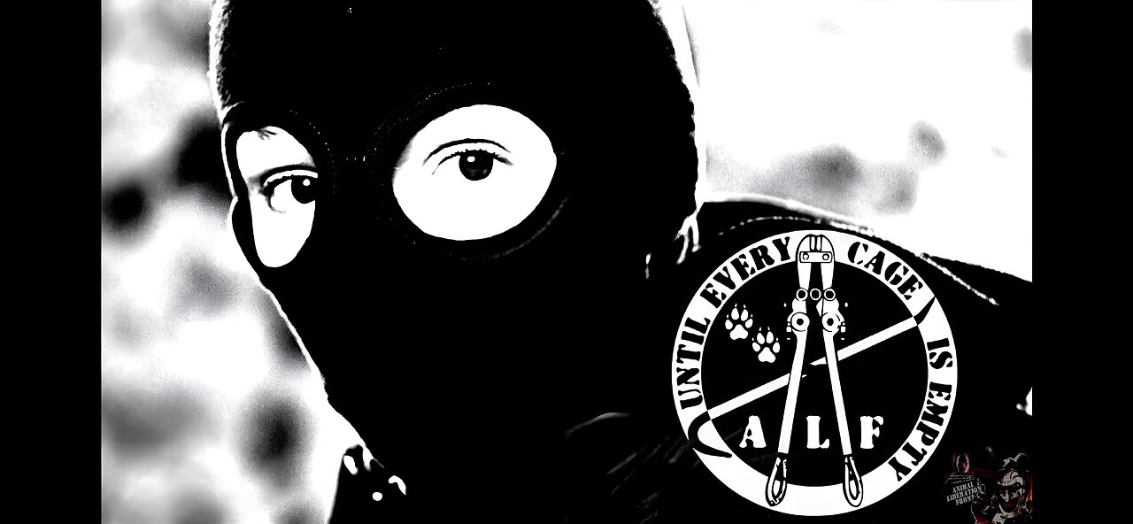 The ALF Is Committed 2 Making History
