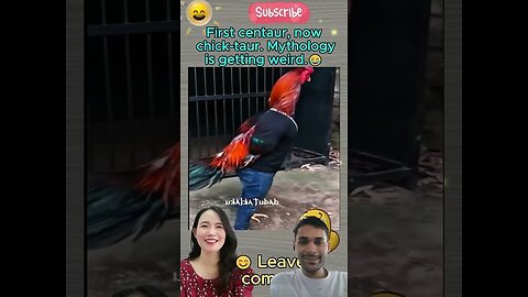 Lmao video- funny animals moment