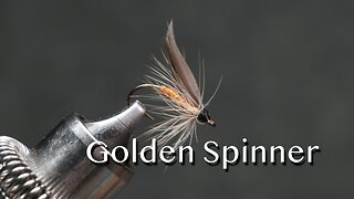 Golden Spinner: a trout fly from Favorite Flies and Their Histories (1892) by Mary Orvis Marbury
