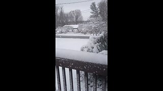Blizzard 2023