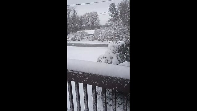 Blizzard 2023