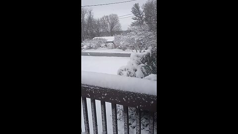 Blizzard 2023