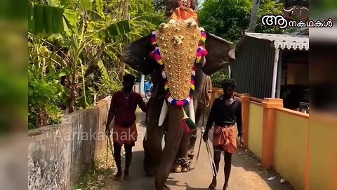 വേദനകൾ ഇല്ലാത്ത ലോകത്തേക്ക് ചന്തു യാത്രയായി _ Uttoly chandu elephant _ Kerala elephant died news