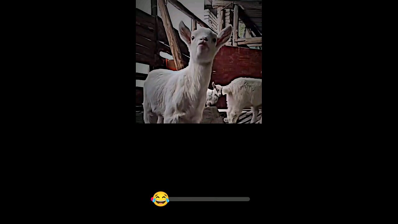 funny