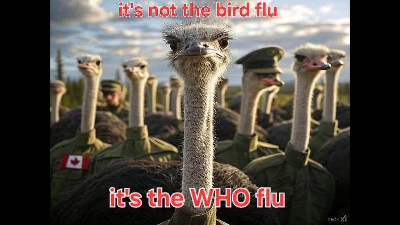 Big Pharma Kills (bird is the word parody)