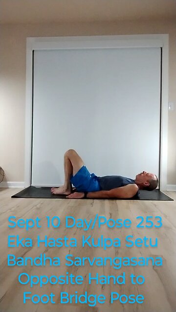 Eka Hasta Kulpa Setu Bandha Sarvangasana /Opposite Hand to Foot Bridge Pose