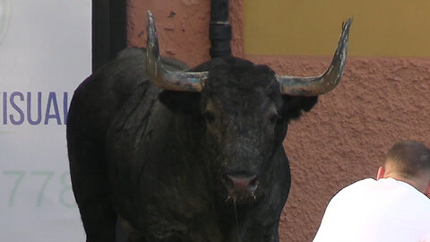 2025 10 11-19 LA VALL D'UIXÓ SAGRADA FAMILIA