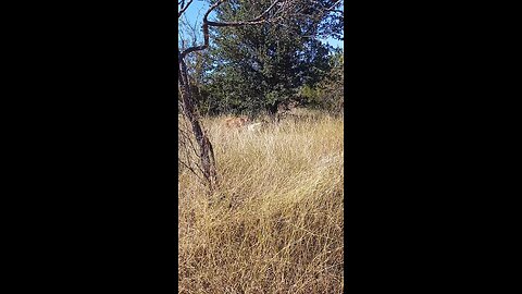 Go read your Bible 🙏🏻