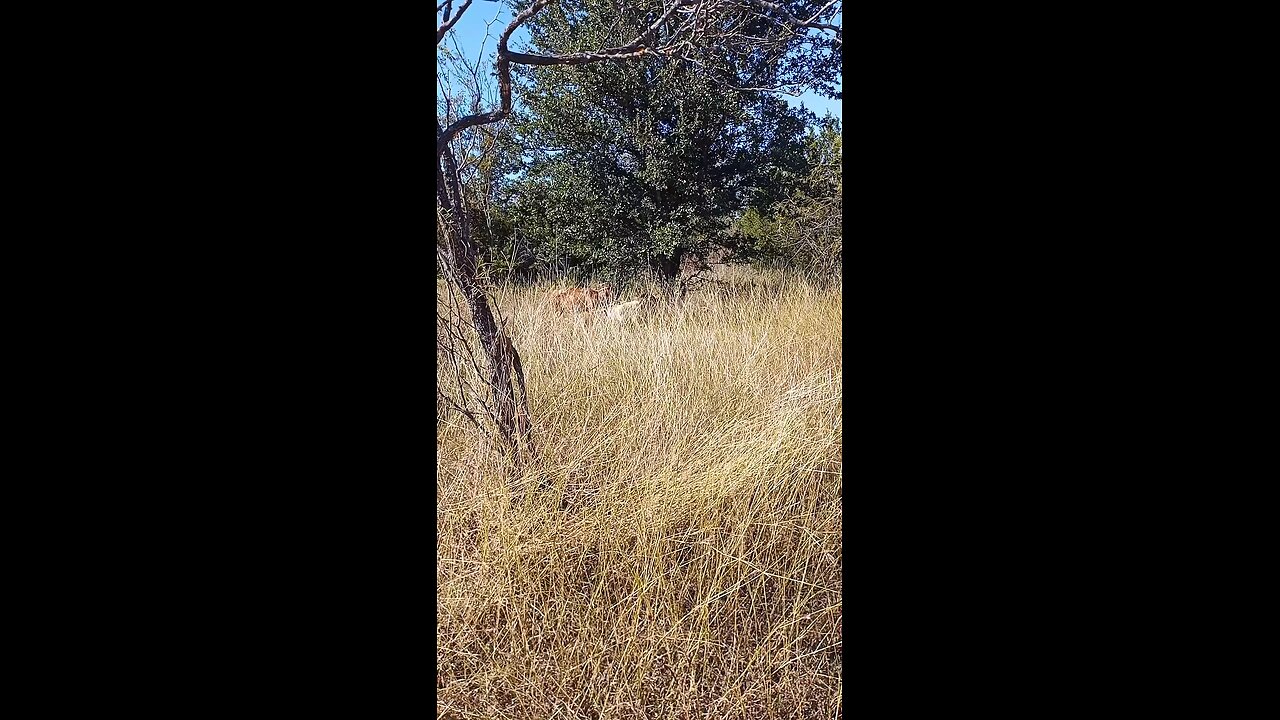 Go read your Bible 🙏🏻