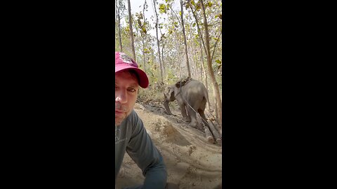 Love All Life Always #156 - 49 Year Old Elephant Rescued - No Creature Should Be A Slave - EVER!