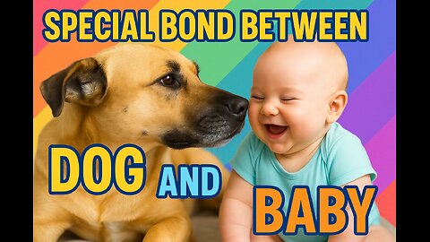 Heartwarming Bond Between Baby & Dog – Must See Moments! 🐶👶💖