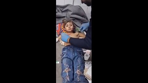 The Gaza Hoax