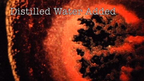 Blood Versus Distilled Water